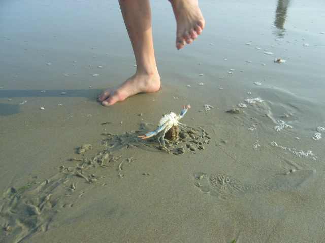 foot and crab