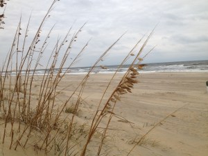 sea oats vb