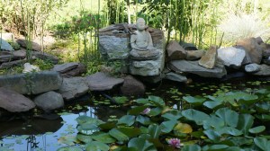 buddha at pond