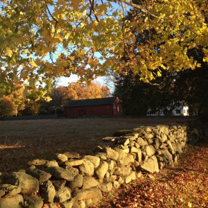 fall stone wall