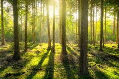 24bf42_4ed2b8e568b5445ba232bd39ce231a06~mv2